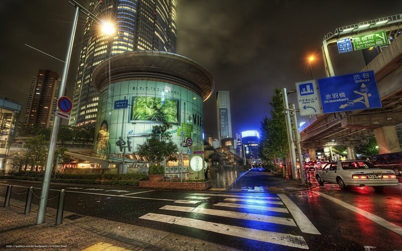 Nighttime City Street — Blue, Dramatic, Night, Photograph