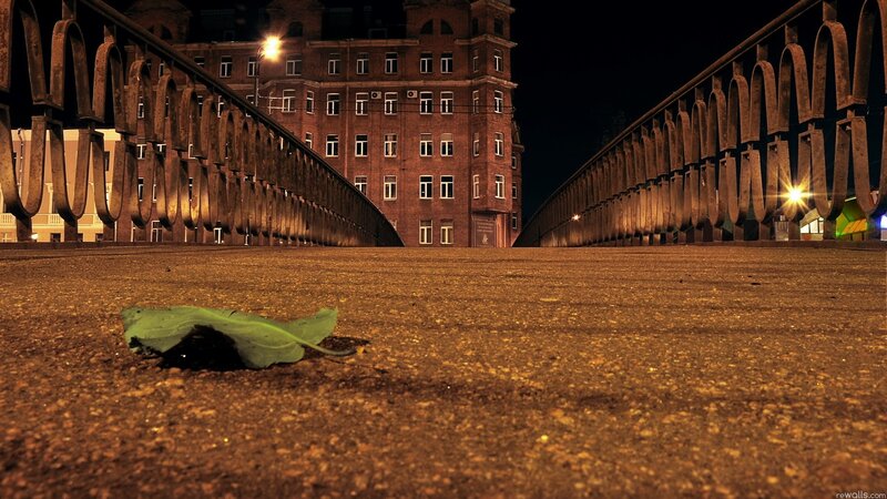 nighttime city street with leaf