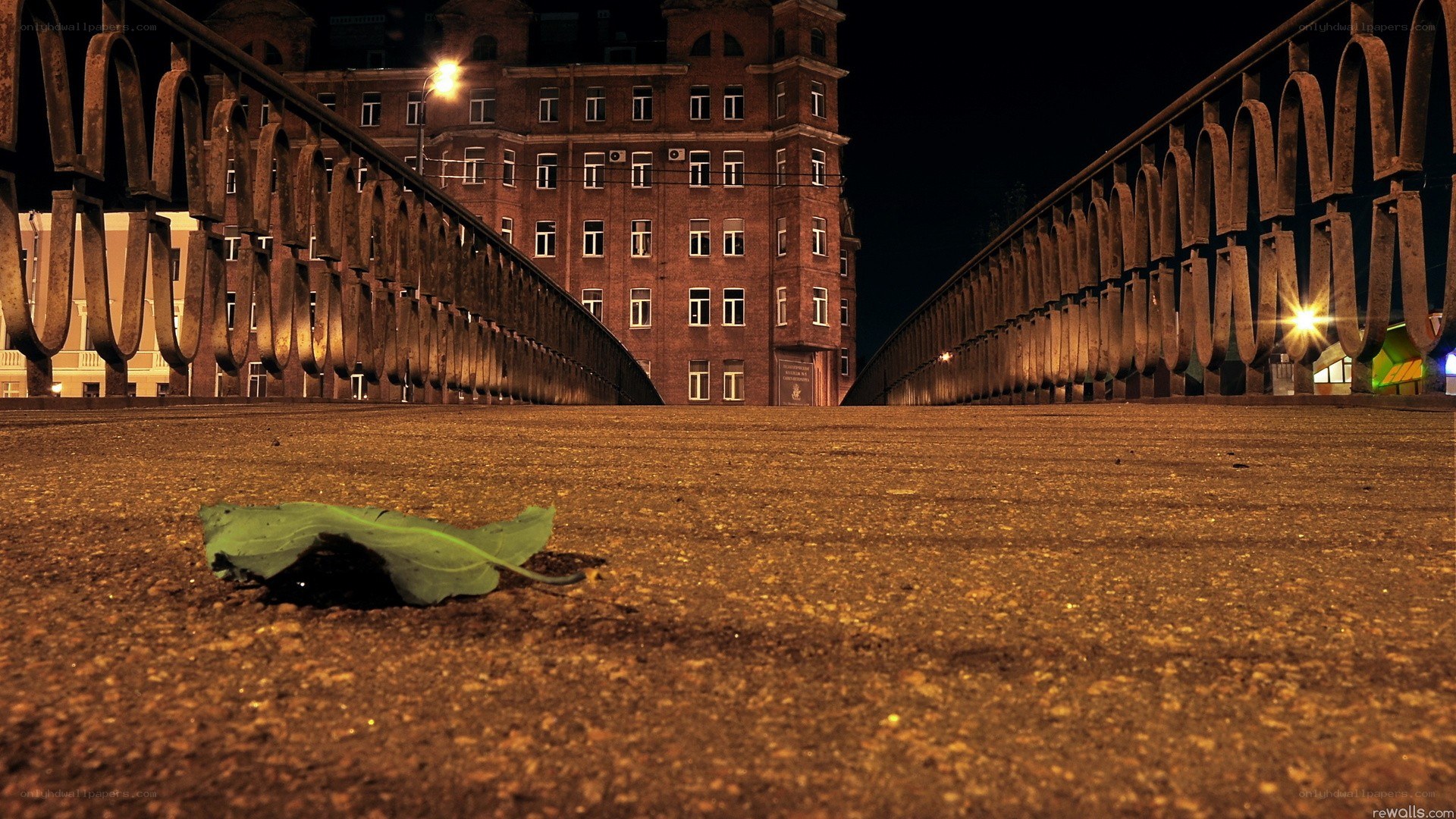 nighttime city street with leaf