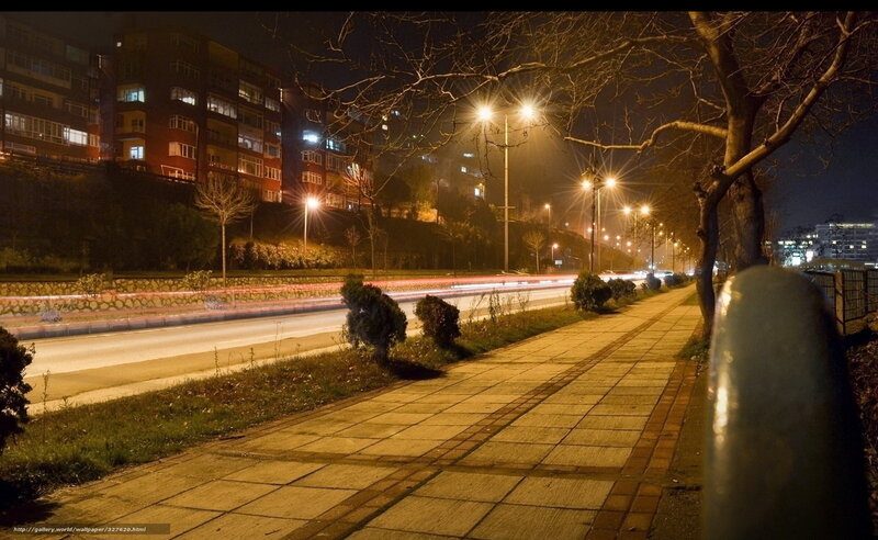 Nighttime City Street — Yellow, Calm, Night