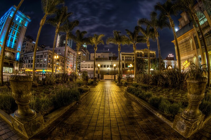 nighttime city walkway with palm trees