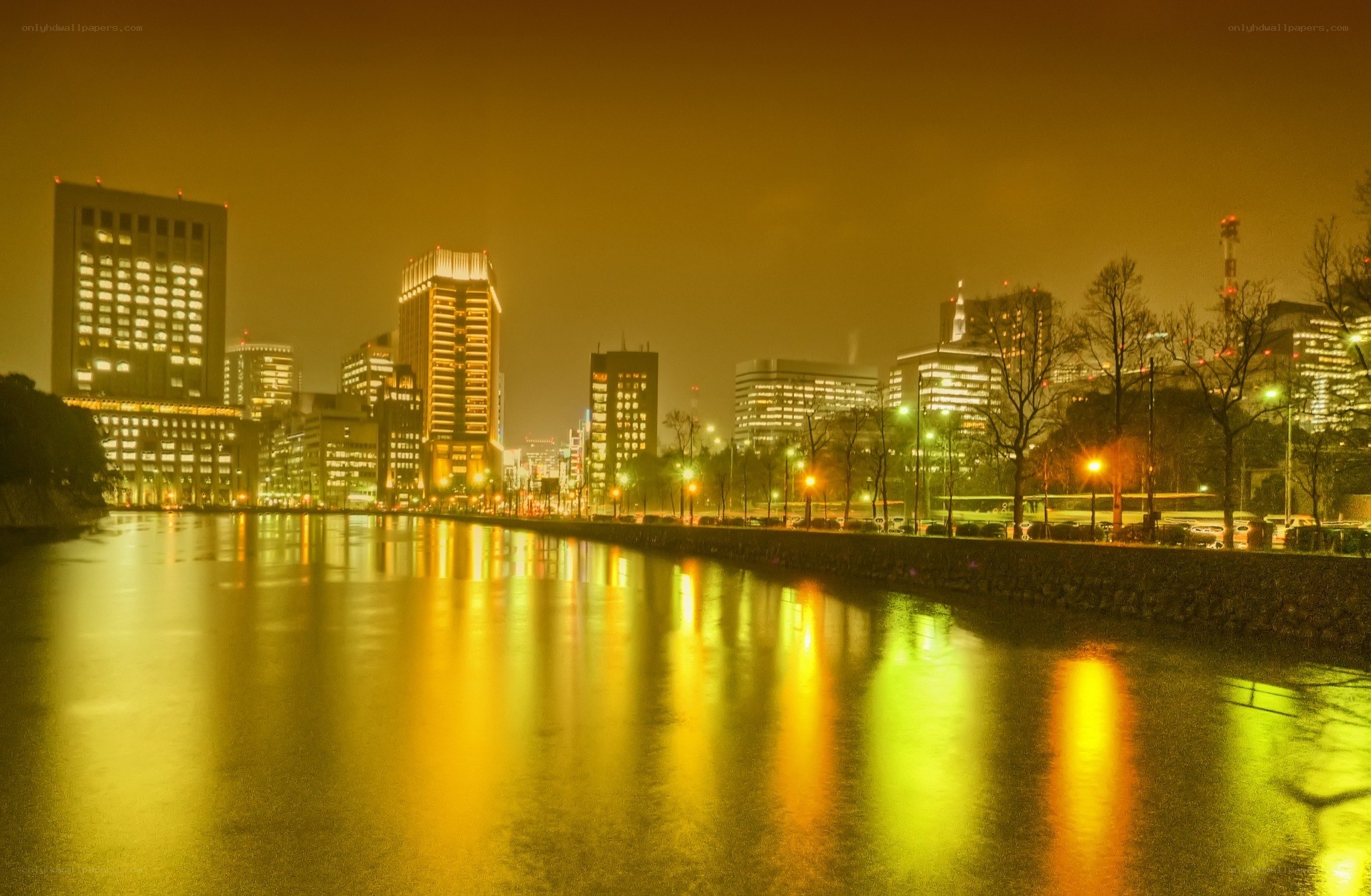 nighttime cityscape by the river