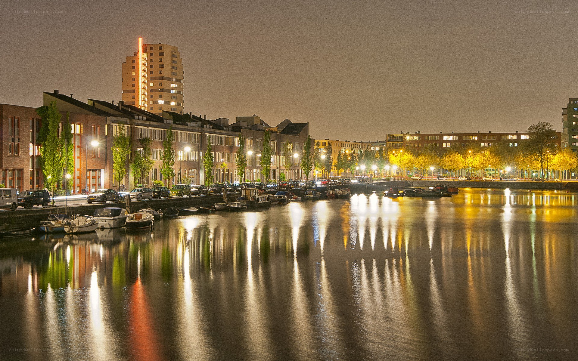 Nighttime cityscape by the water