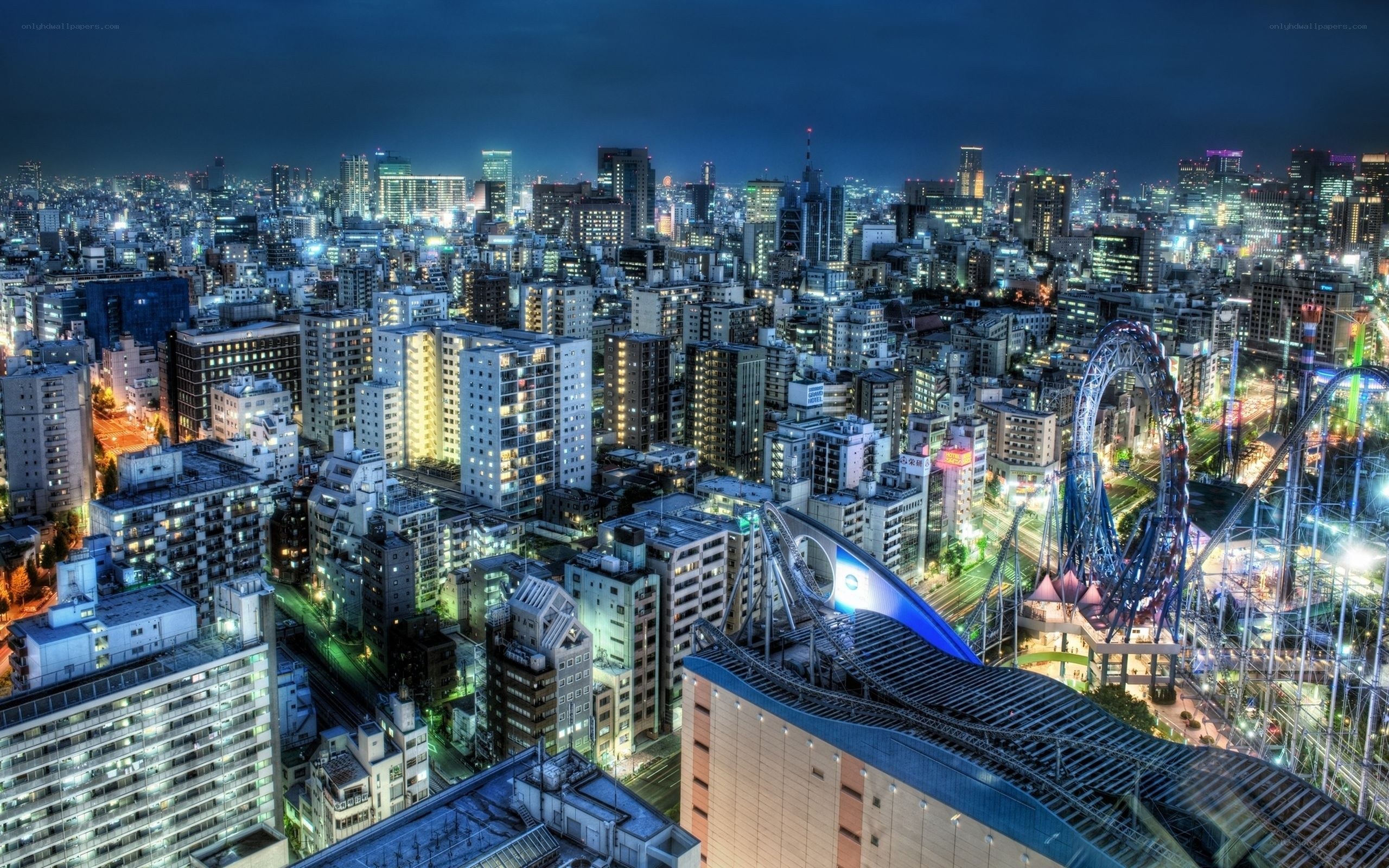 nighttime cityscape with amusement park