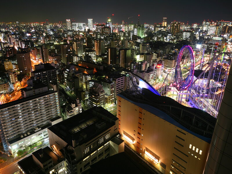 Nighttime Cityscape with Amusement Park — Black