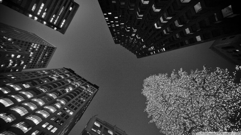 nighttime cityscape with lit tree