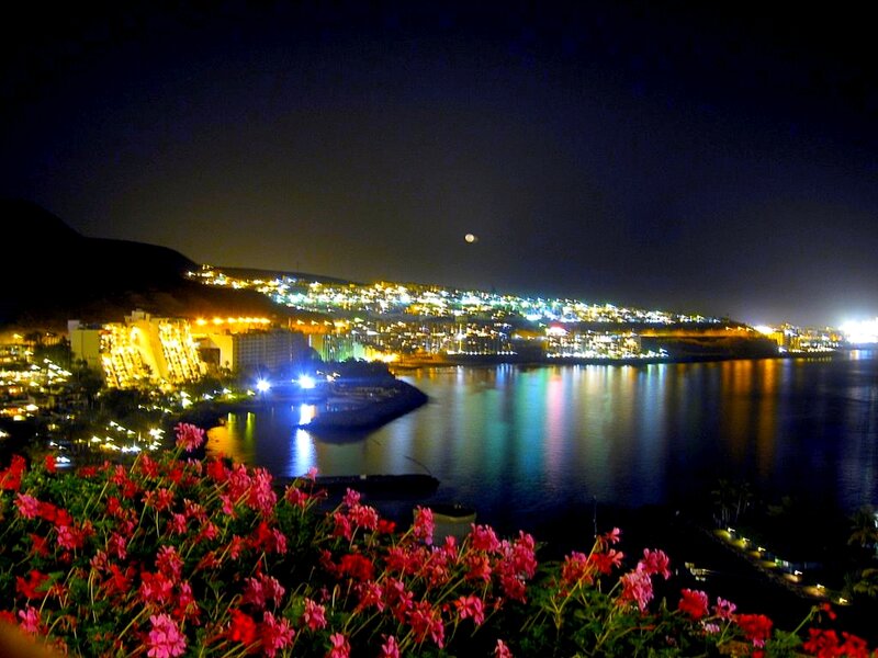 Nighttime Coastal City — Black