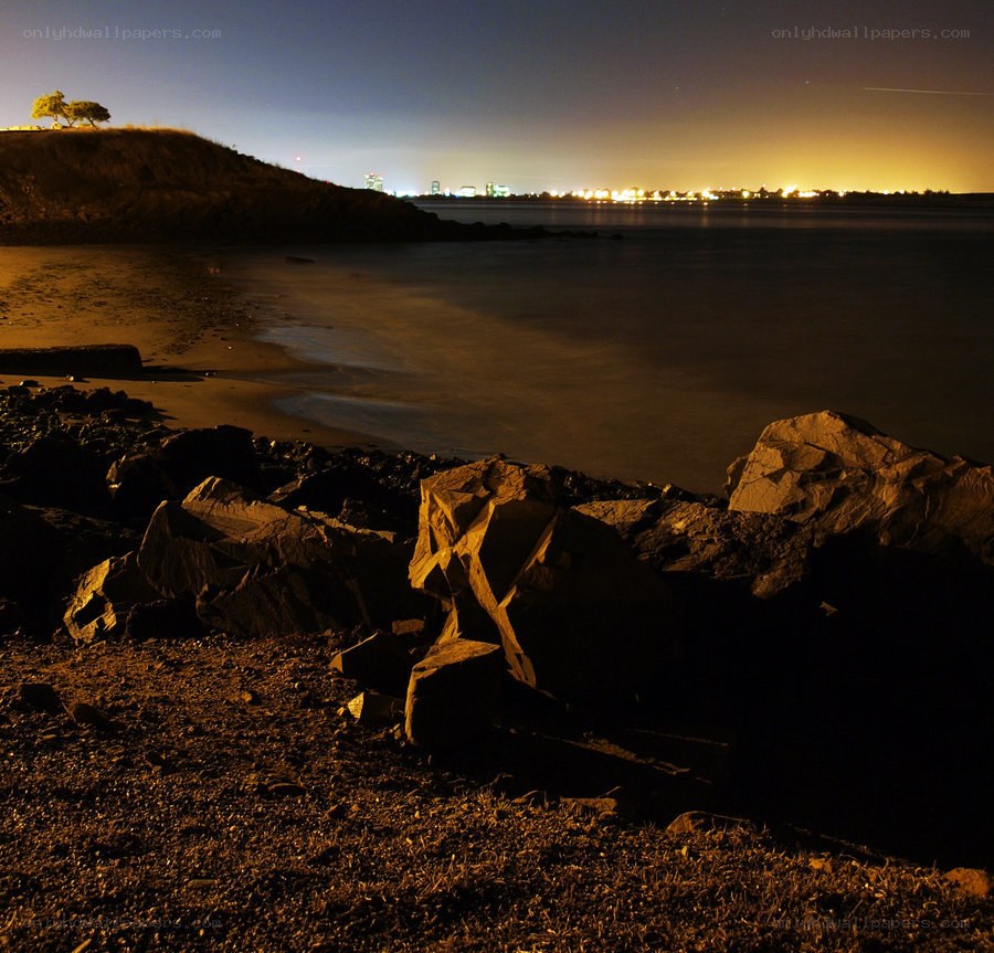 nighttime coastal scene with city lights