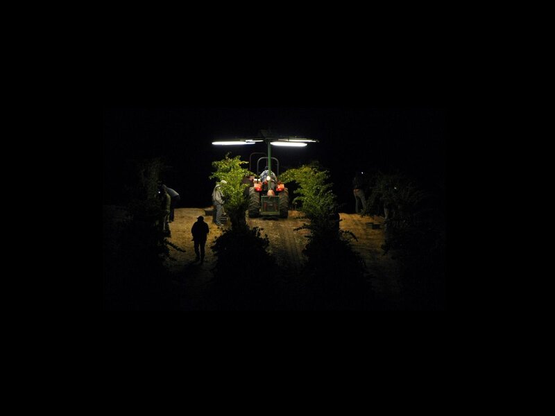Nighttime farm work with tractor