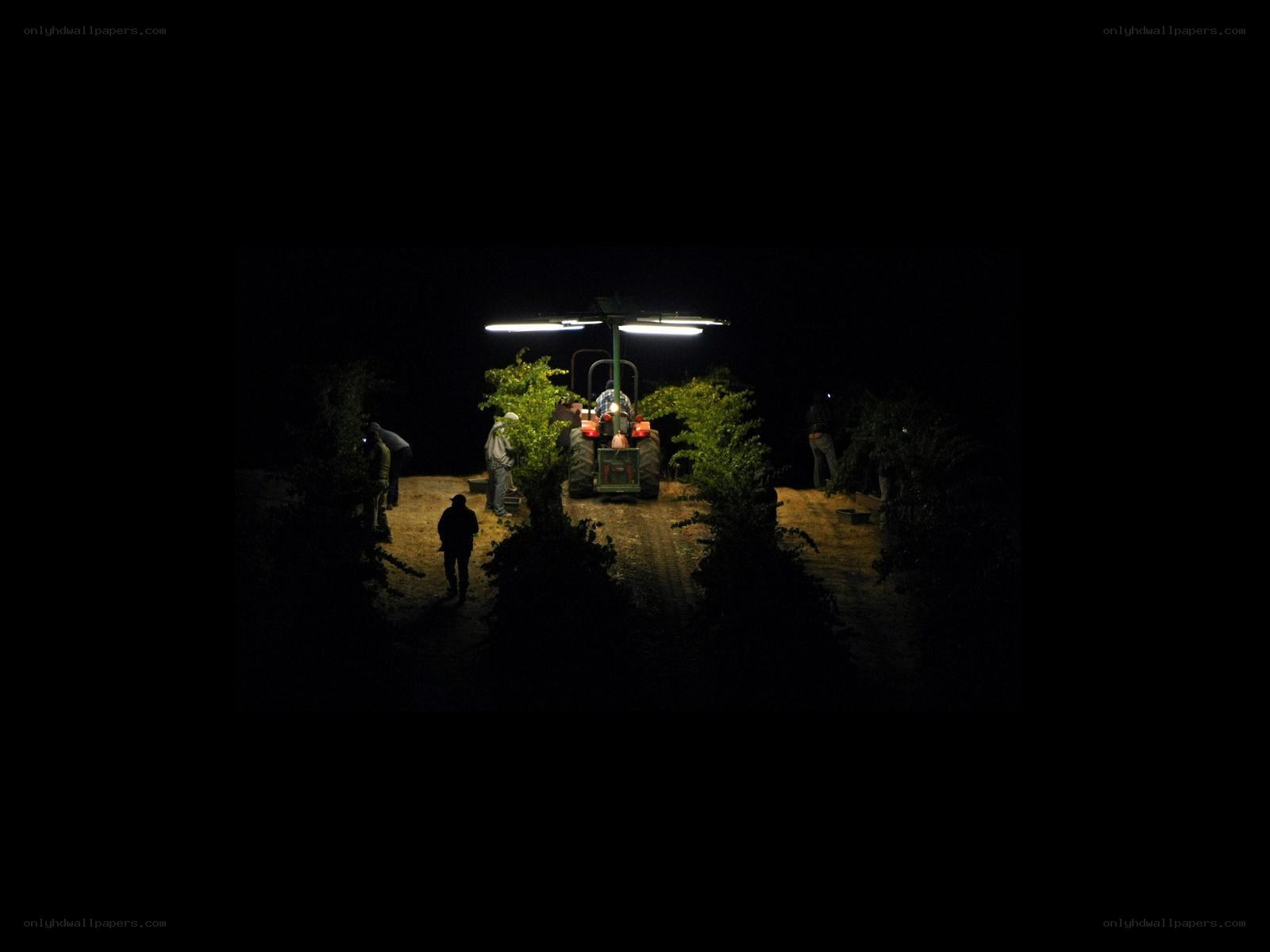 Nighttime farm work with tractor