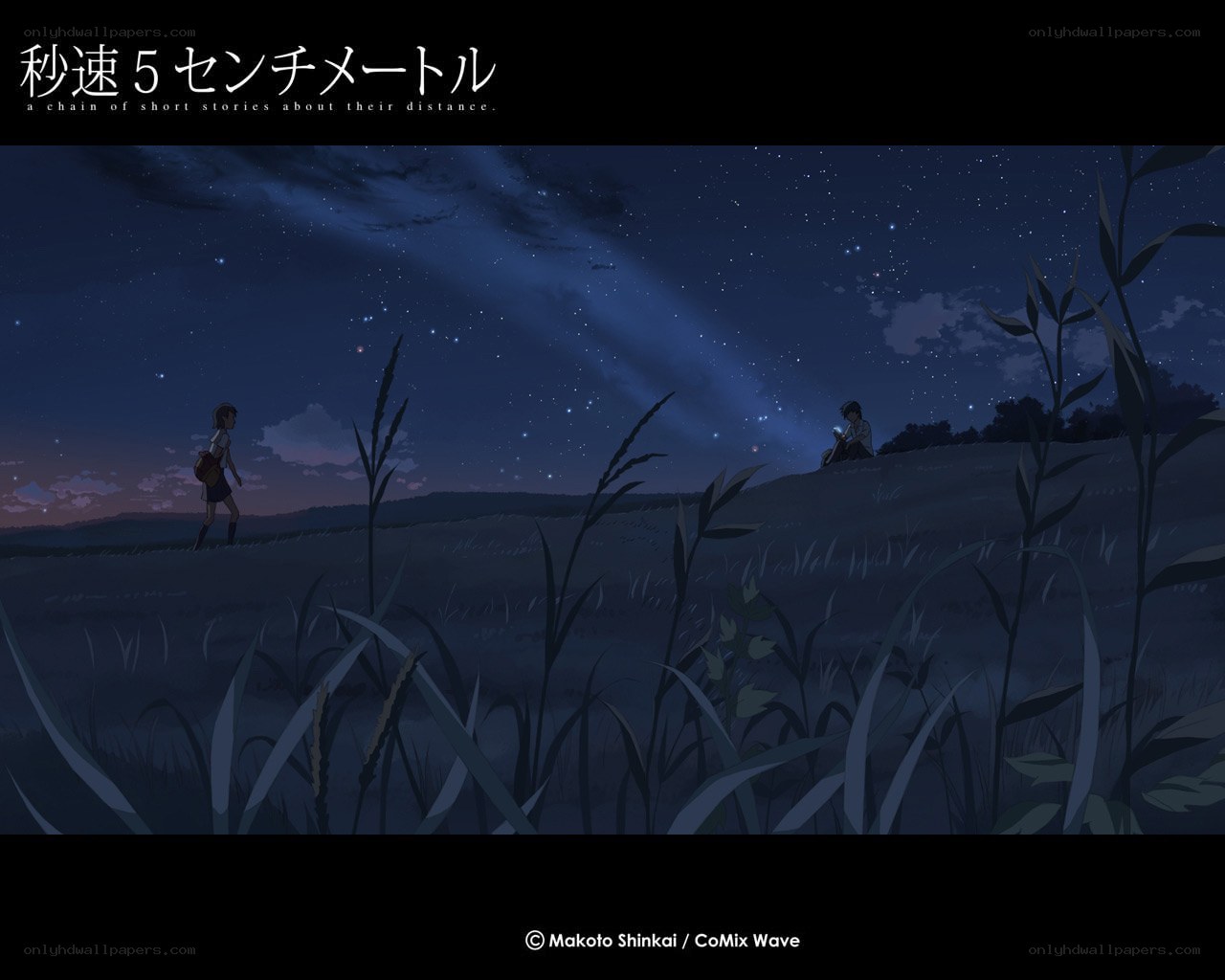 Nighttime field scene