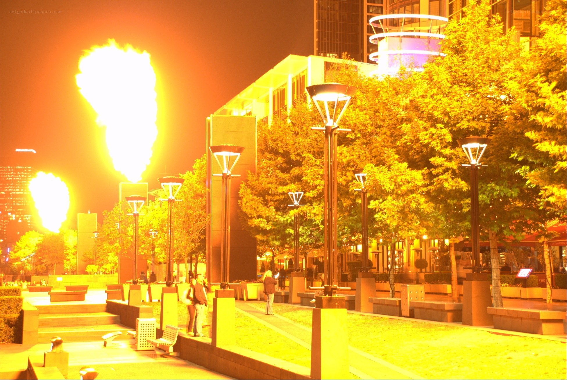 Nighttime fire display in city park