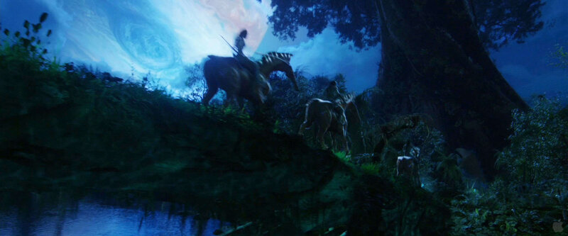 Nighttime forest journey