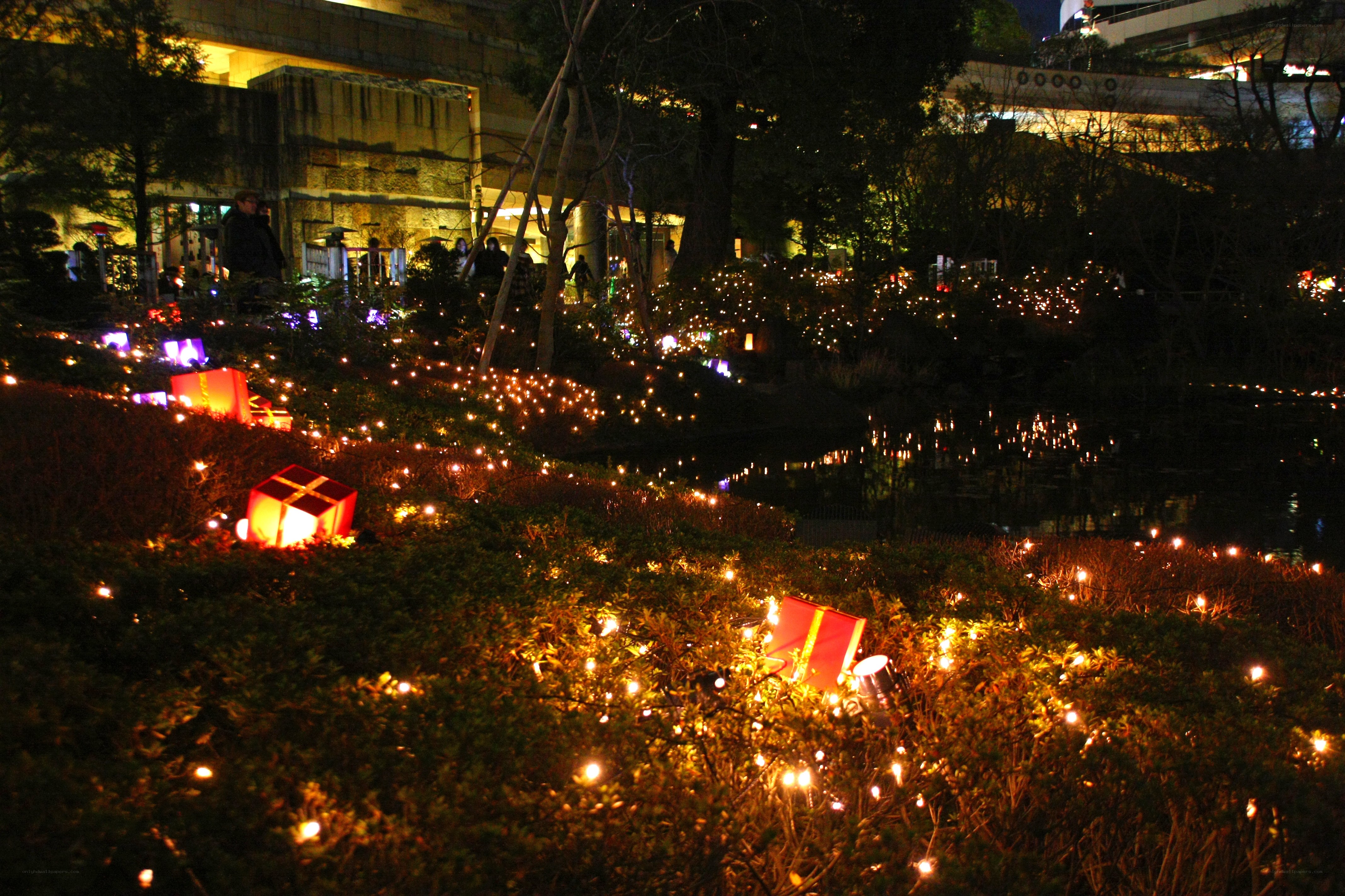Nighttime garden lights display