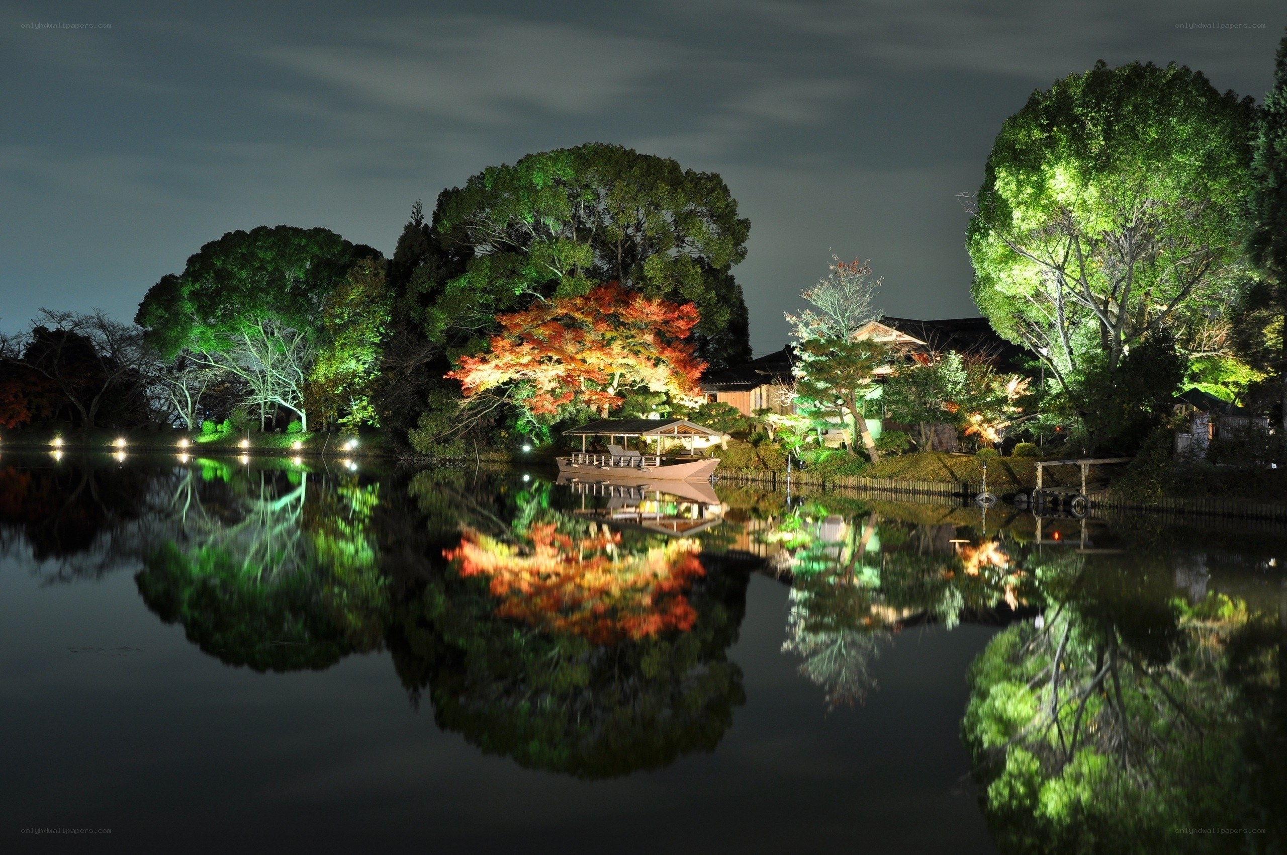 Nighttime garden with illuminated trees