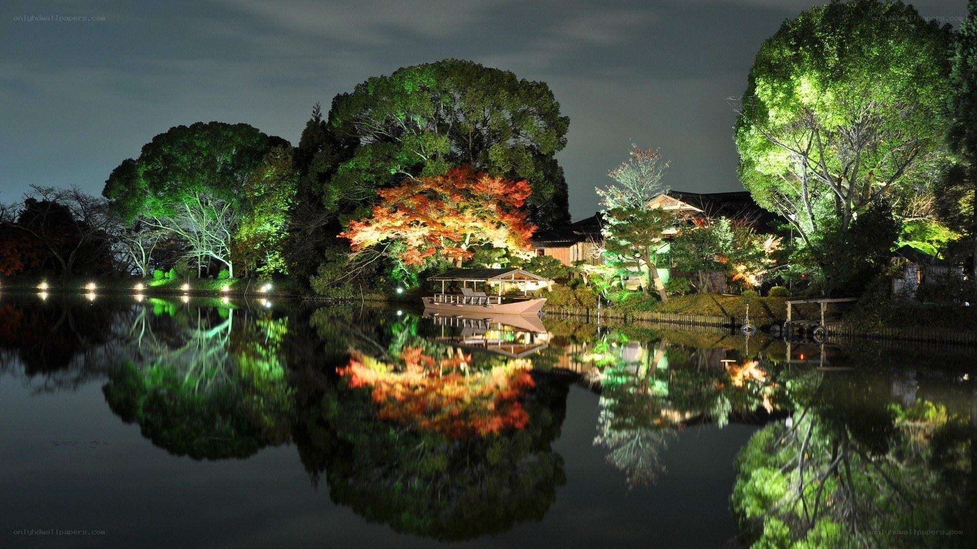Nighttime garden with illuminated trees