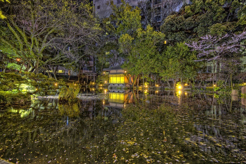 Nighttime garden with pond and lanterns