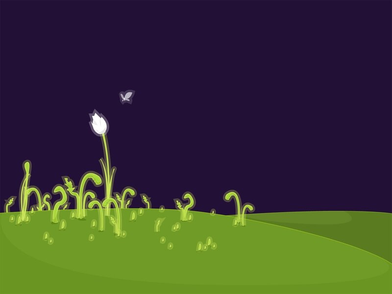 Nighttime garden with white flower