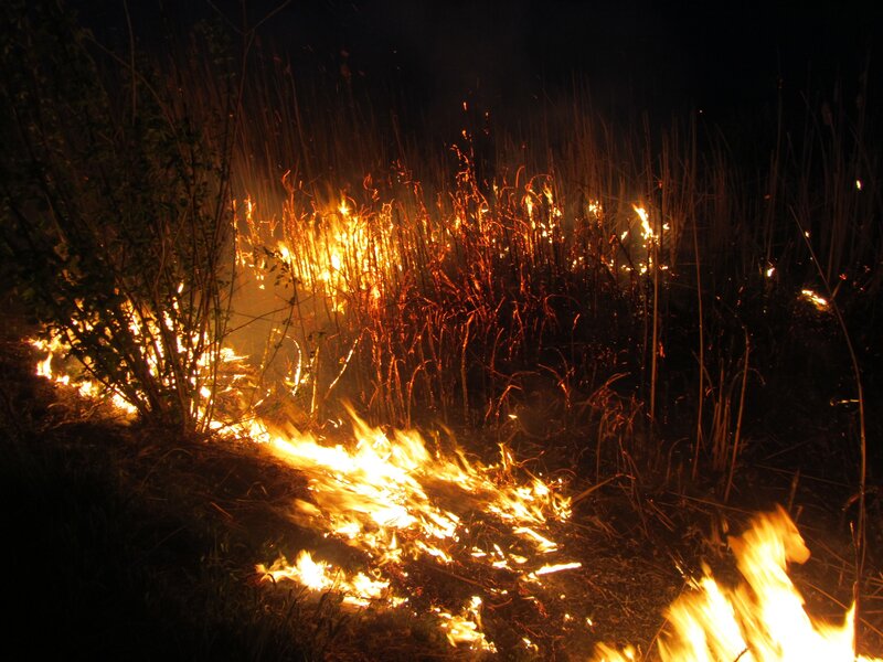Nighttime grass fire