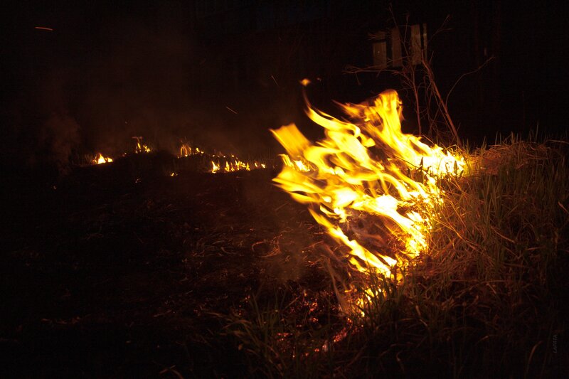 Nighttime grass fire