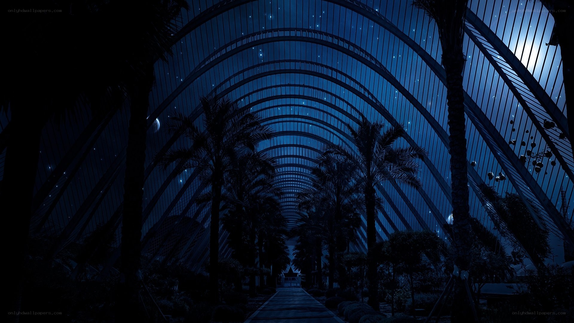 Nighttime greenhouse with palm trees