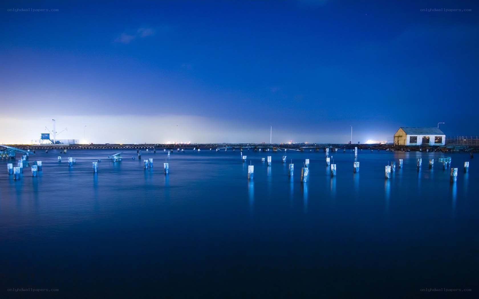 Nighttime harbor with illuminated posts