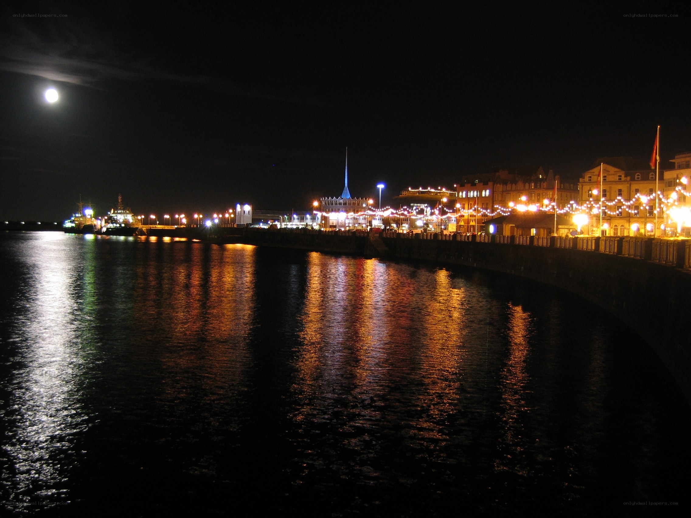 nighttime harbor with moon