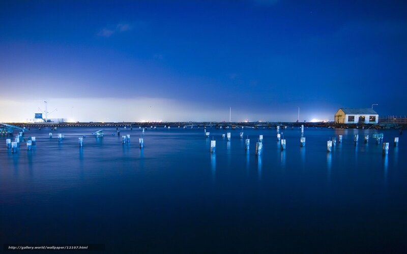 Nighttime harbor with pilings