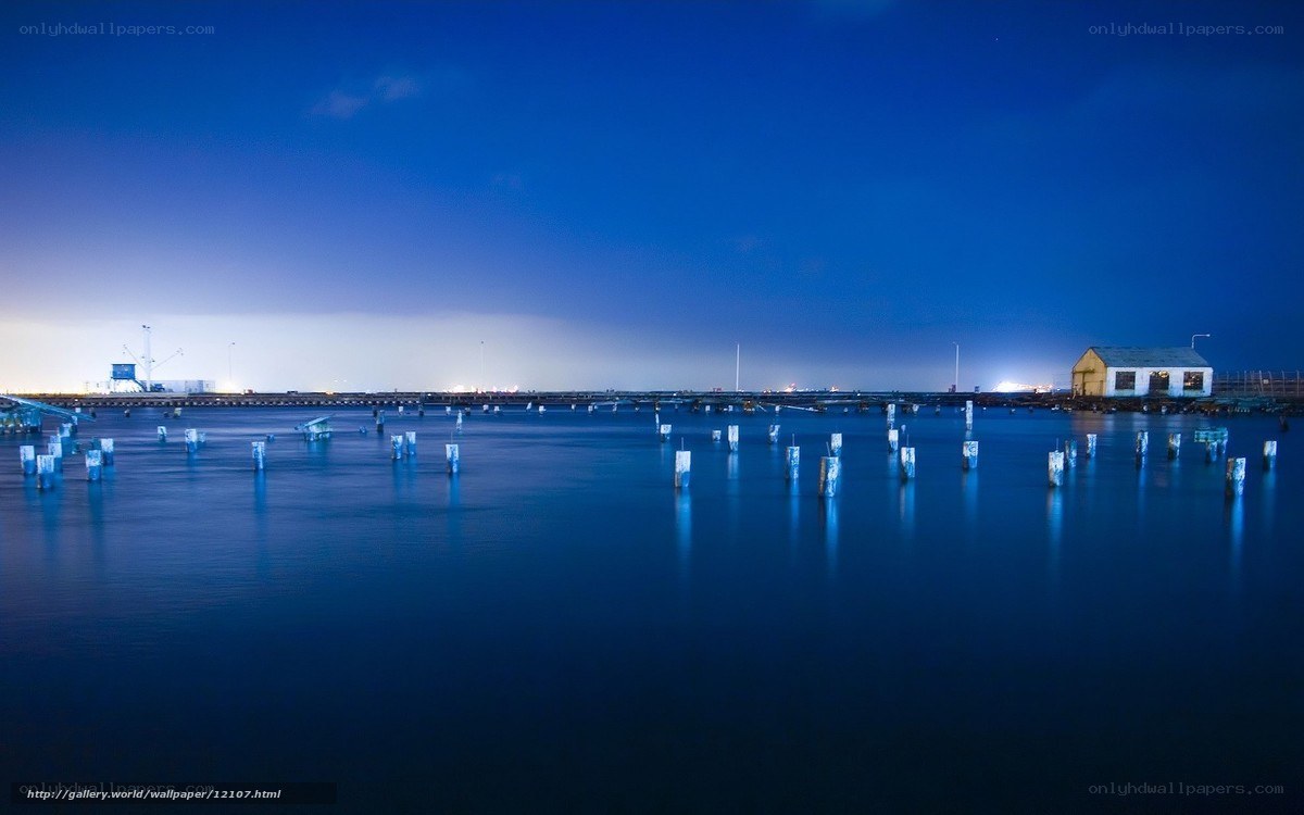 Nighttime harbor with pilings