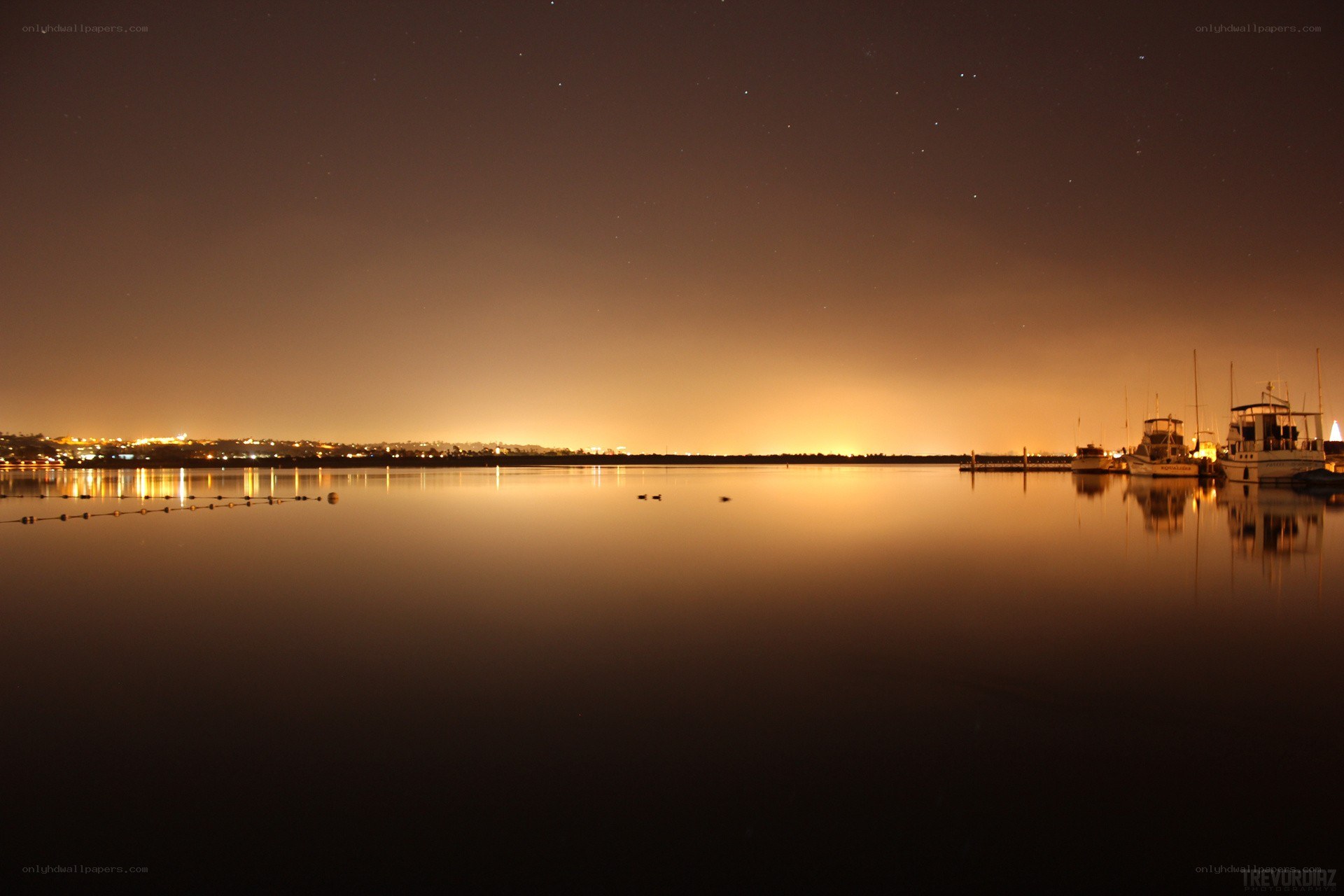 Nighttime harbor with starry sky