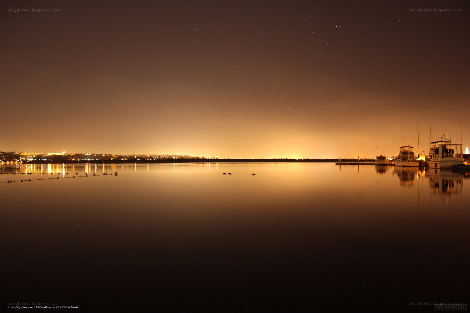 Nighttime harbor with starry sky