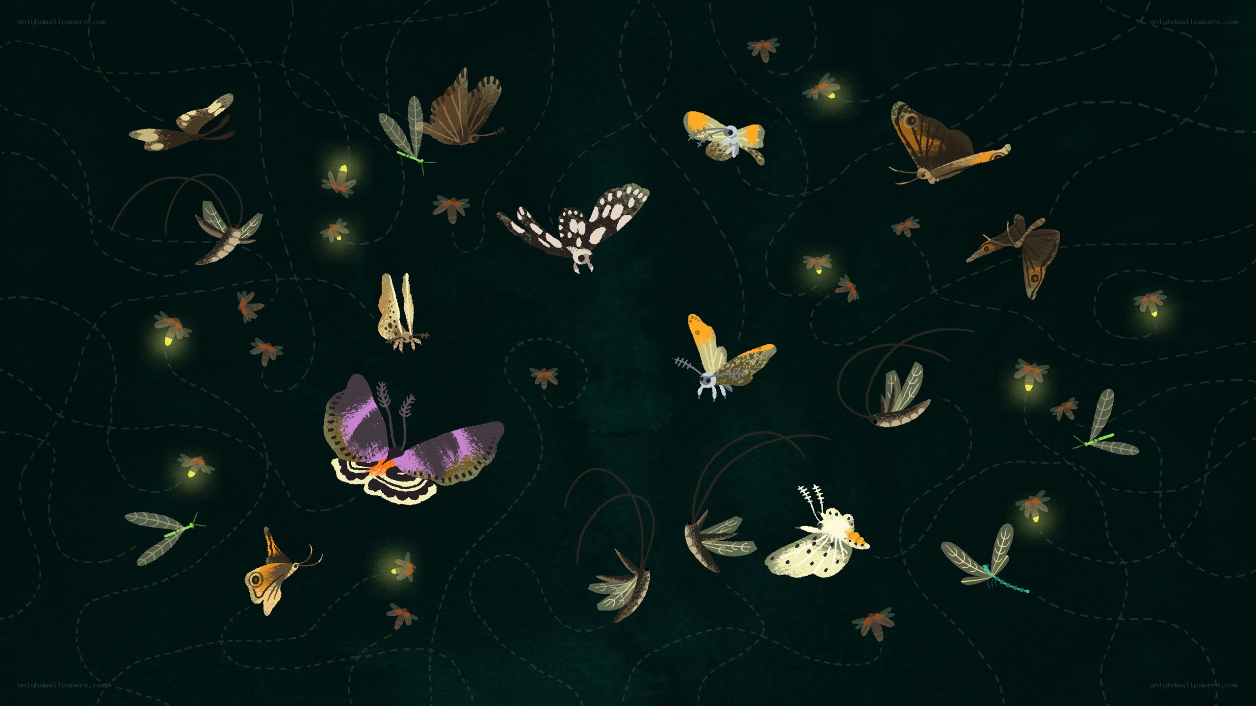 Nighttime insects in flight