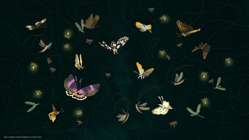 Nighttime insects with glowing lights