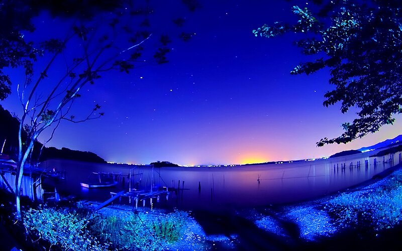 Nighttime Lake with Boats