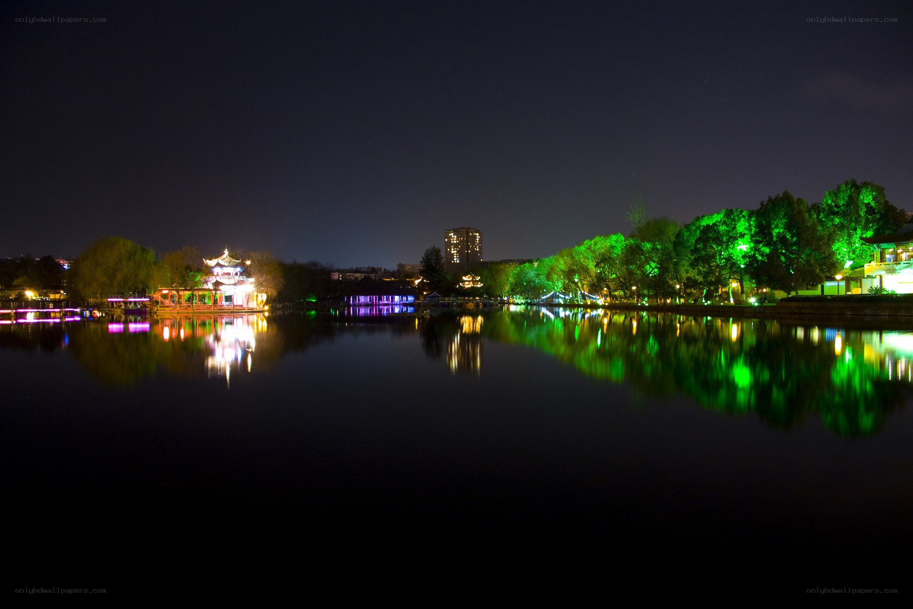 nighttime lake with illuminated trees
