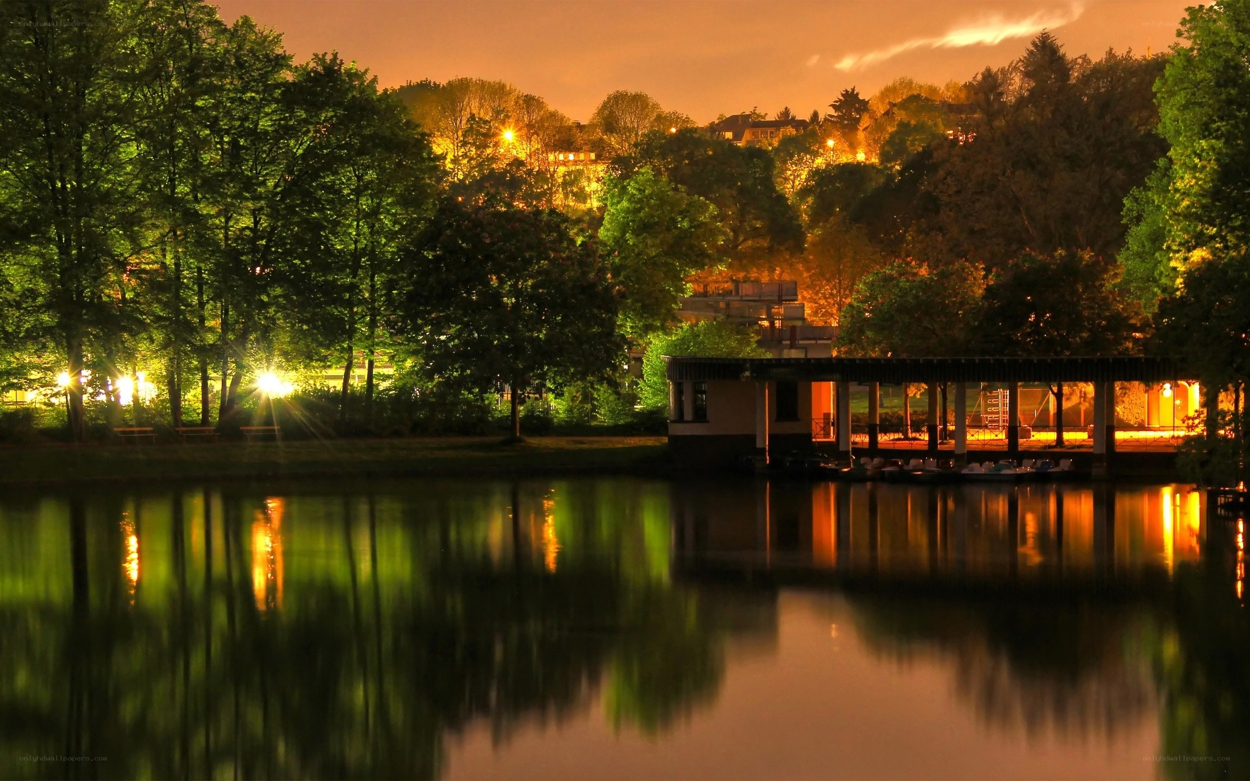 Nighttime lake with illuminated trees