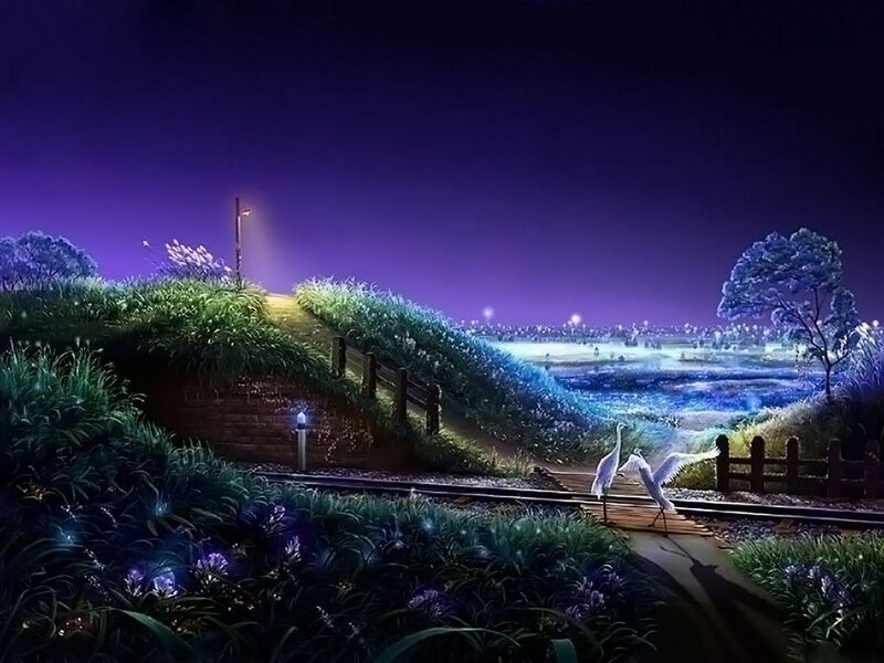 Nighttime landscape with birds