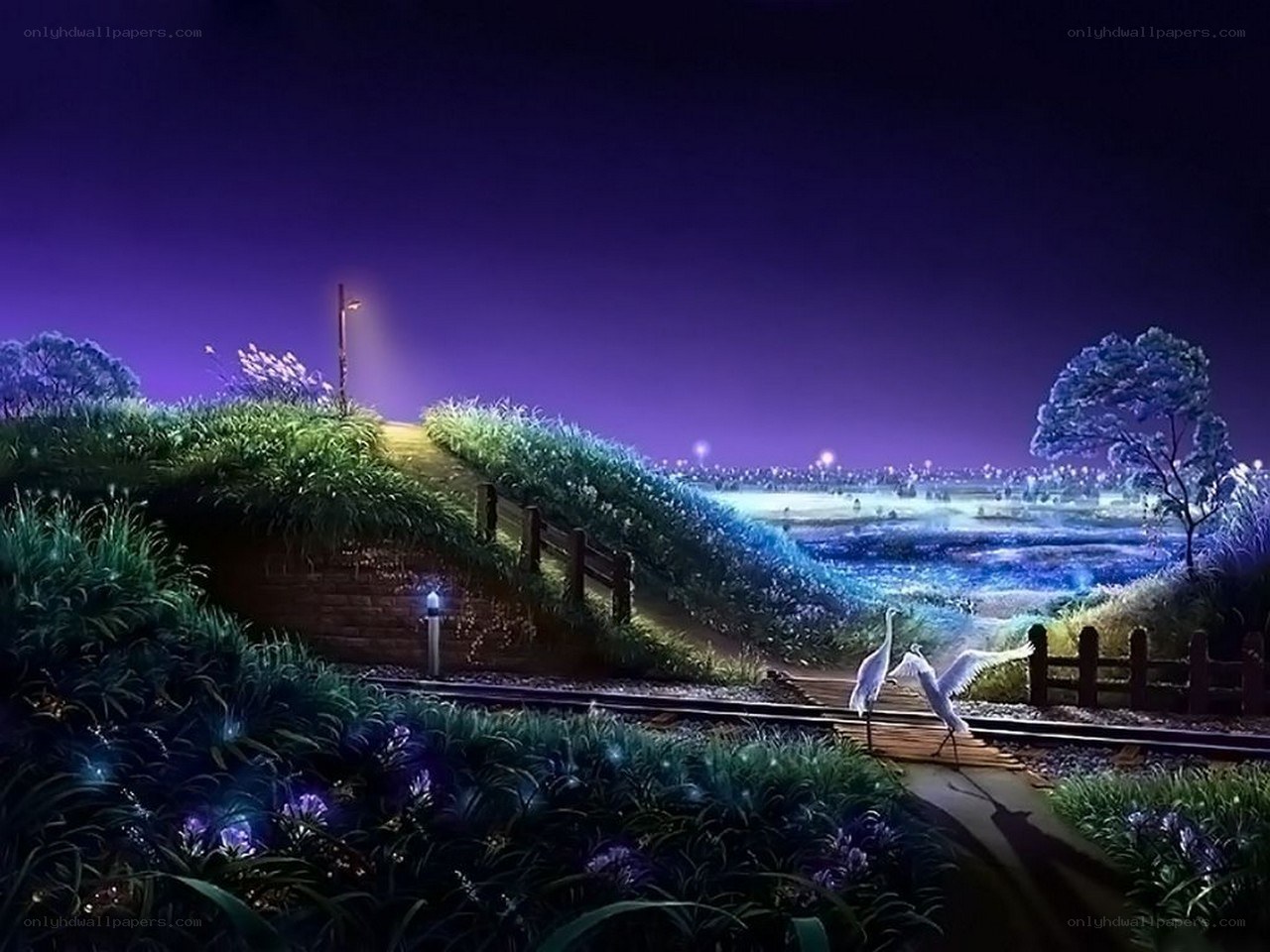 Nighttime landscape with birds