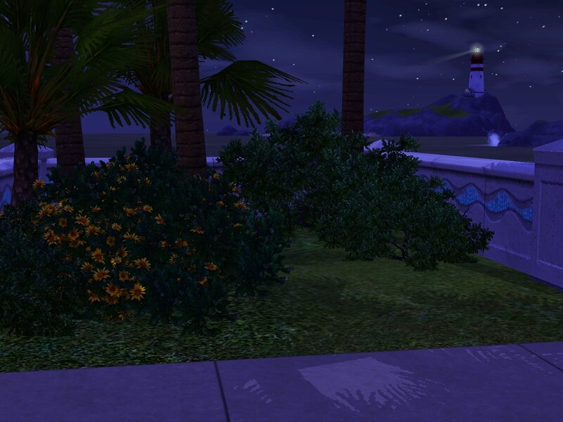 nighttime lighthouse view