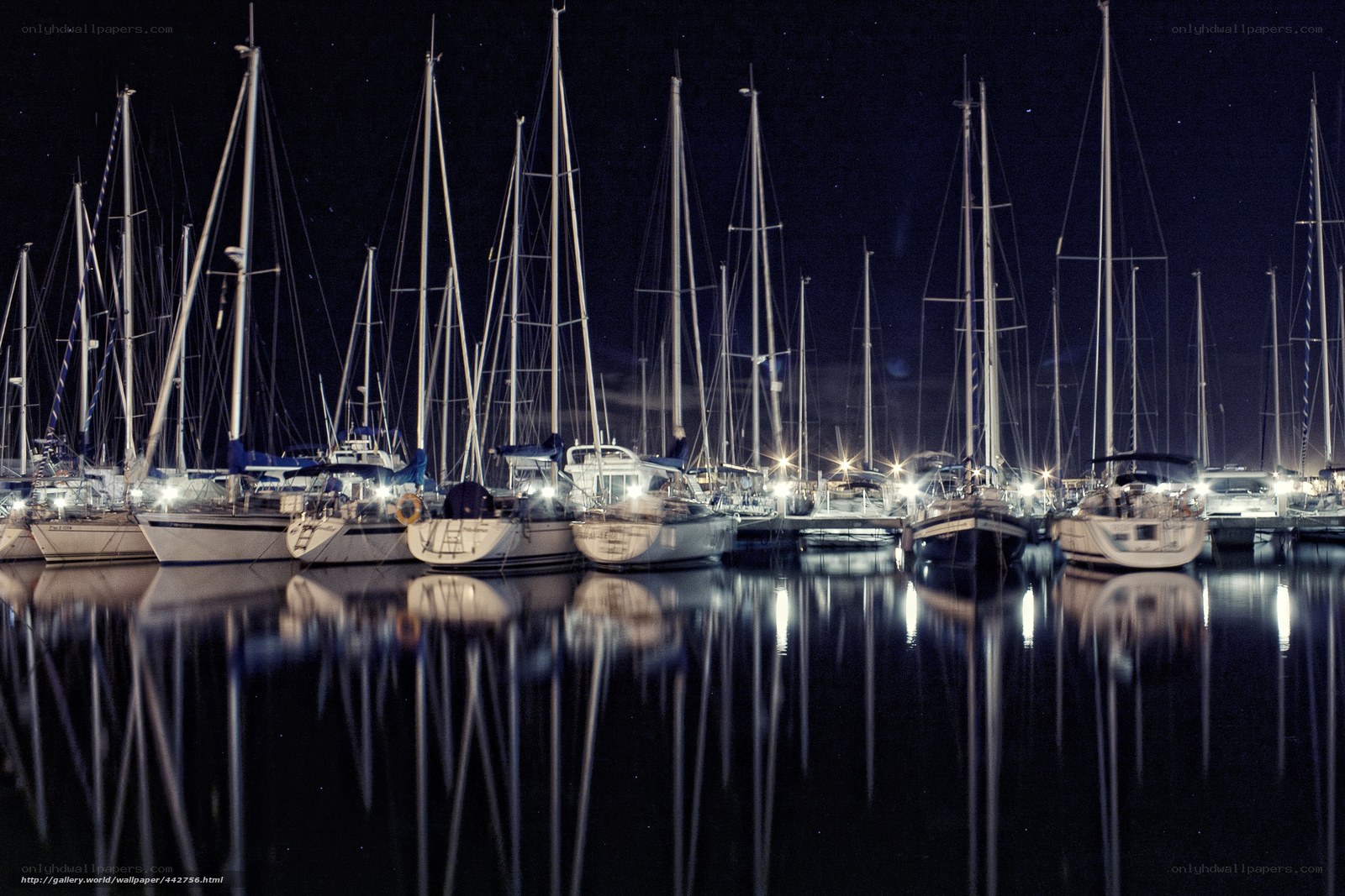 Nighttime marina with sailboats
