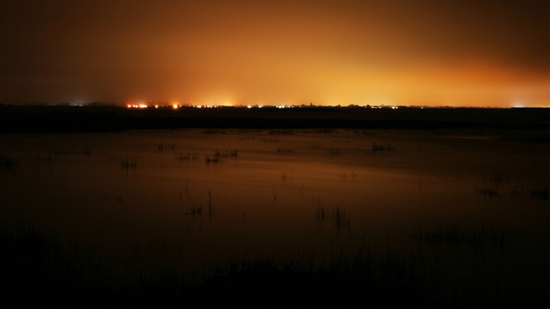 Nighttime marsh with distant lights