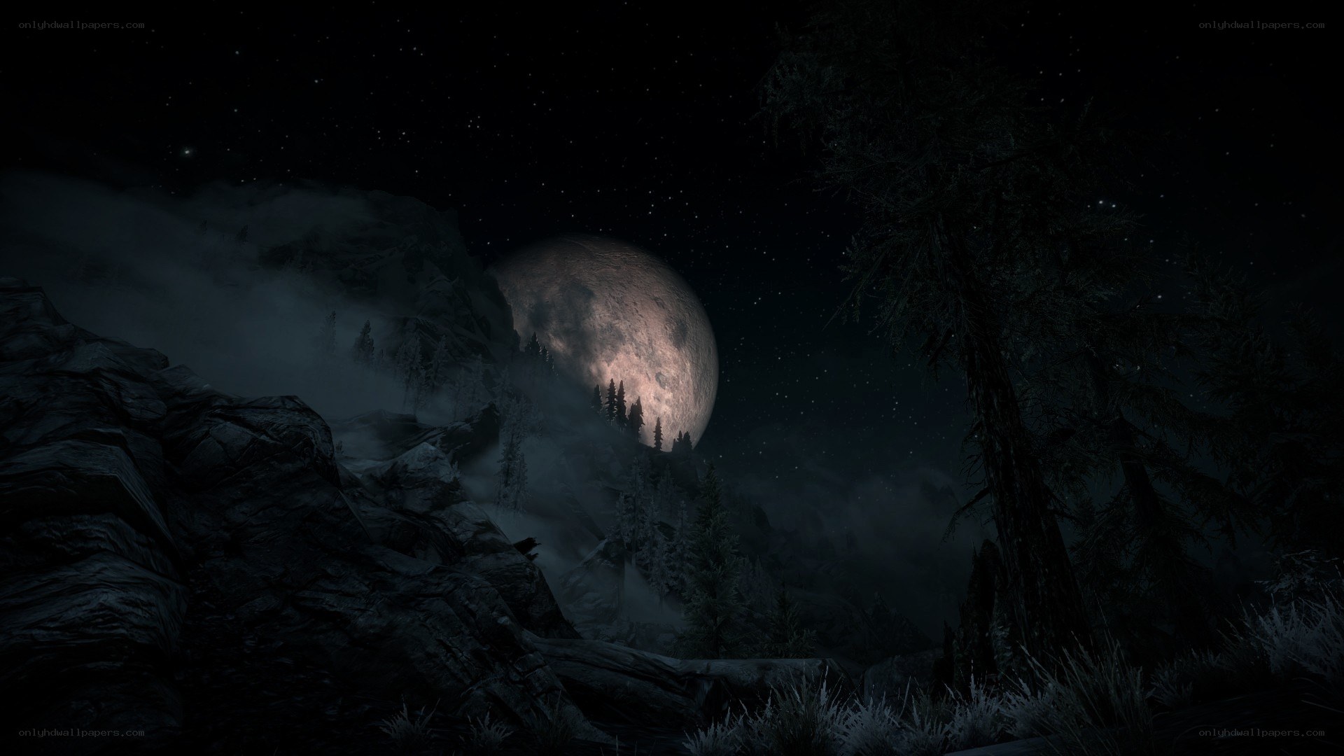 Nighttime mountain landscape