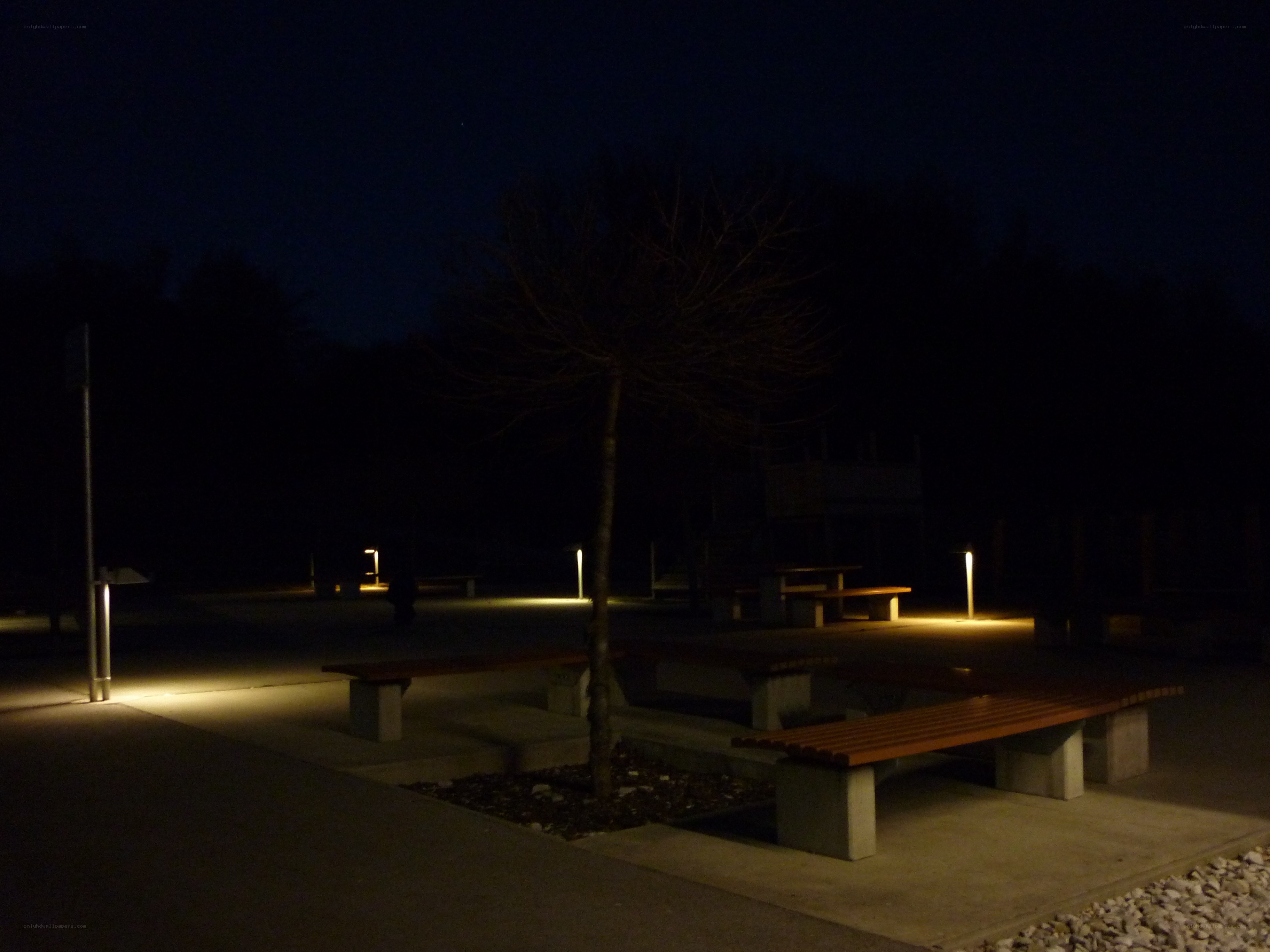 Nighttime park benches