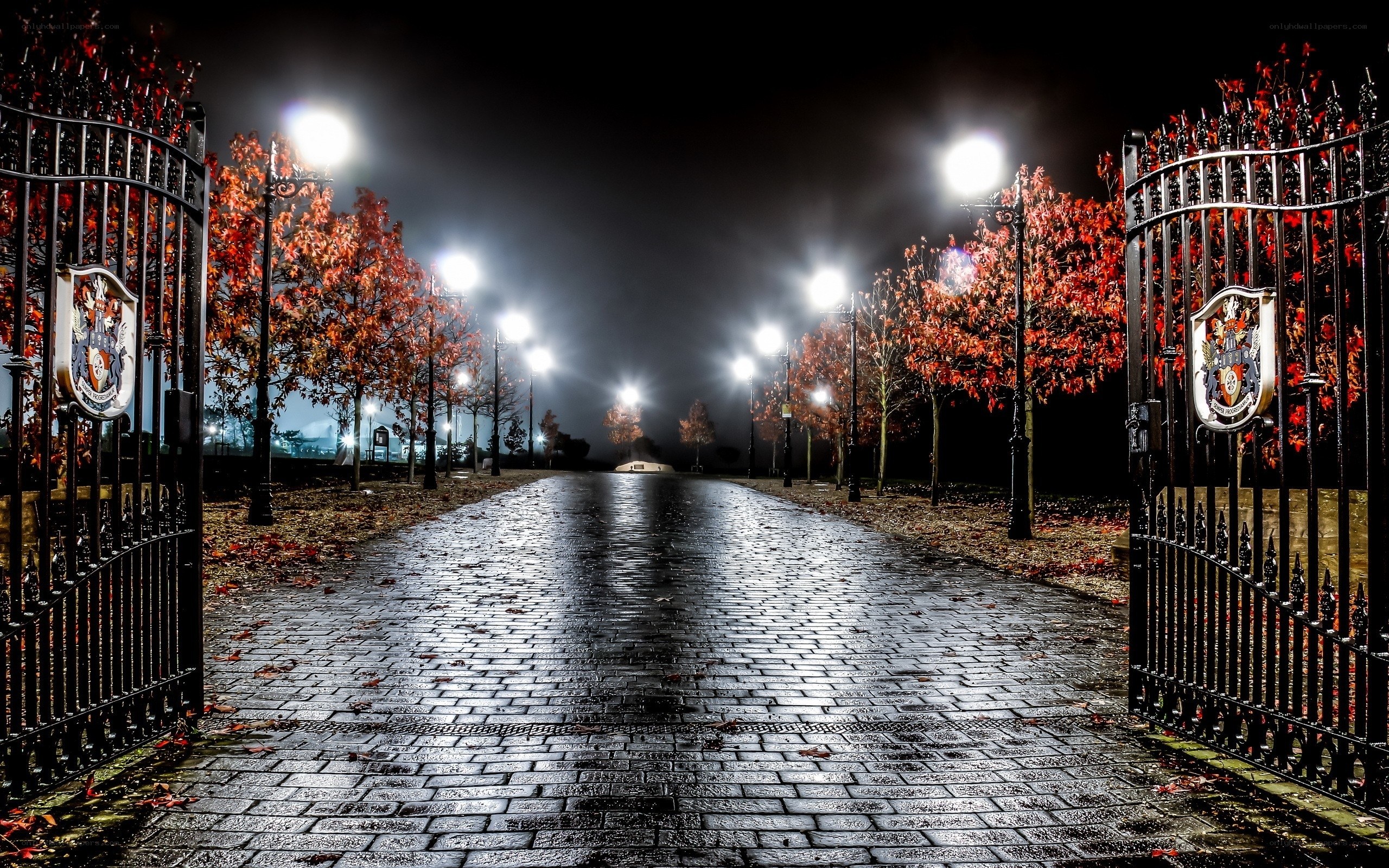 Nighttime park entrance with autumn leaves