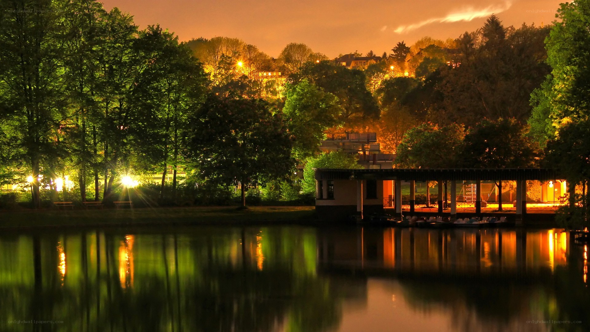 Nighttime park lake scene