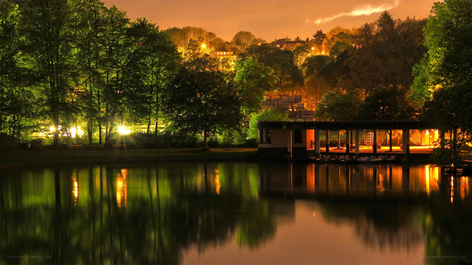 Nighttime park lake scene