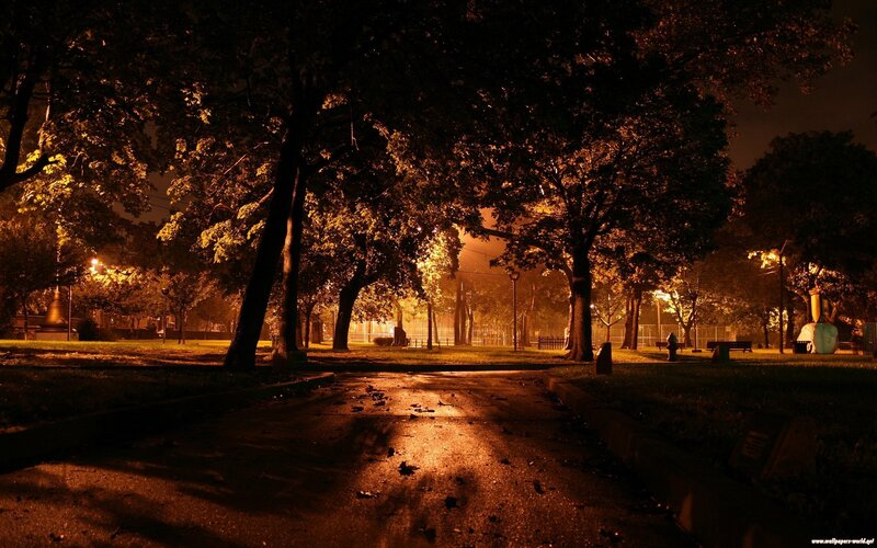 Nighttime park path