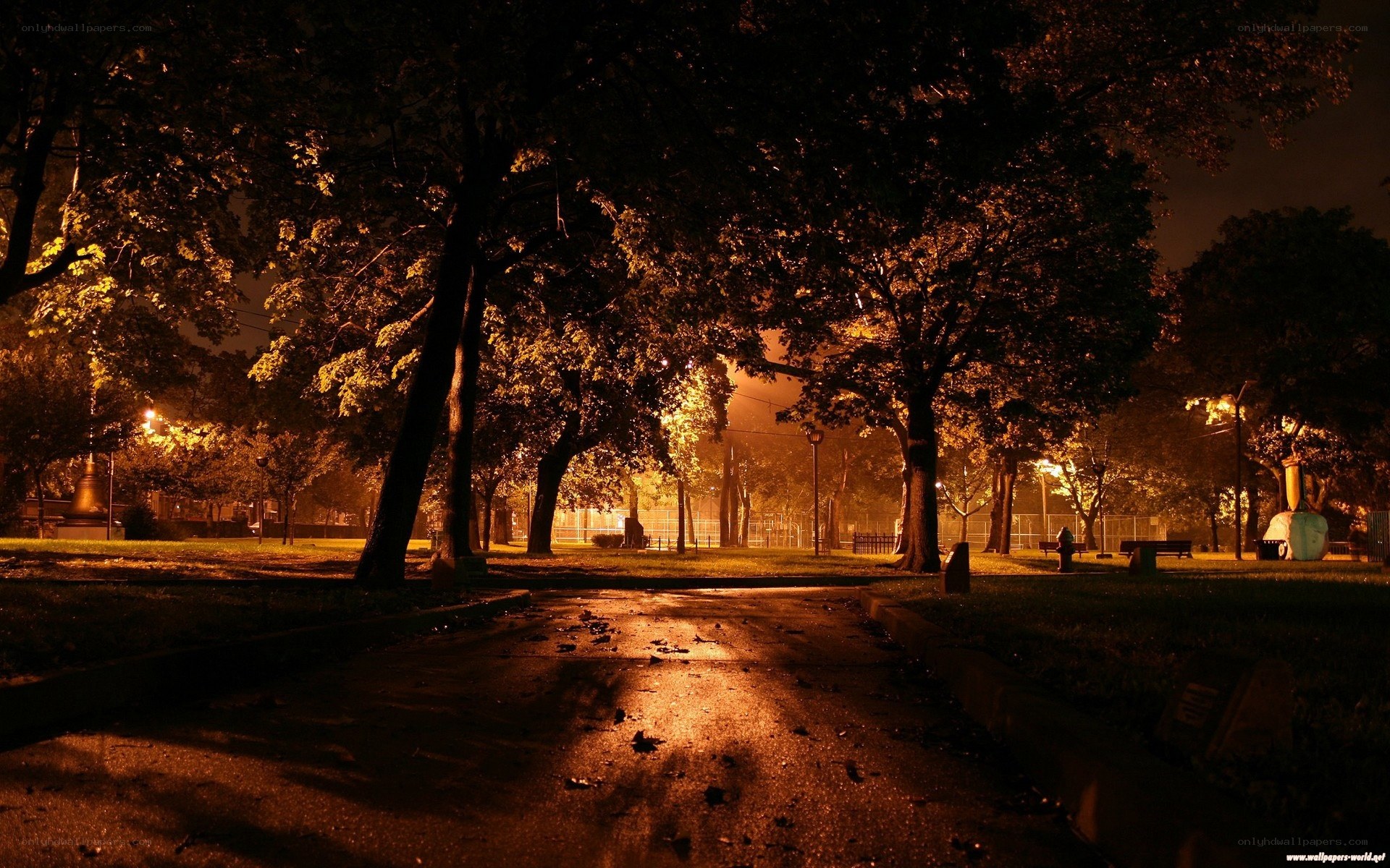 Nighttime park path
