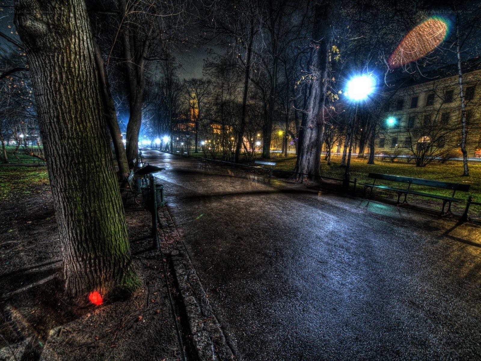 Nighttime park path