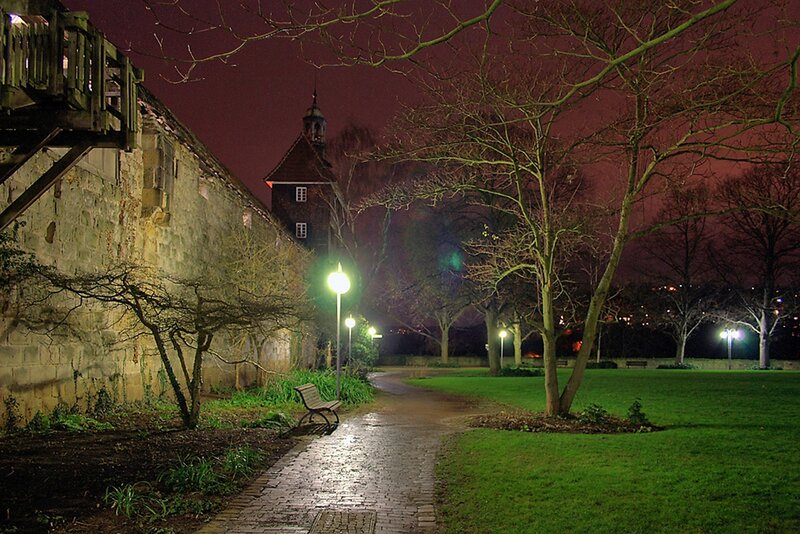 Nighttime Park Path — Green